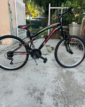 Bicicletta