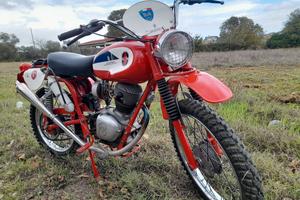 Gilera Giubileo 98 regolarità 