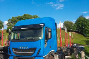 camion trasporto tronchi