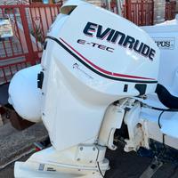 Evinrude E-Tech 115