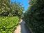Immagine 21