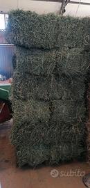 BALLETTE PAGLIA+FIENO 