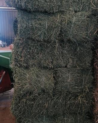 BALLETTE PAGLIA+FIENO 