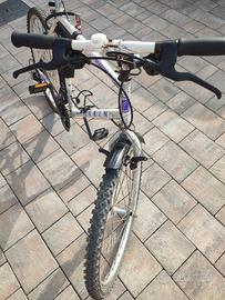 bici Mountain bike