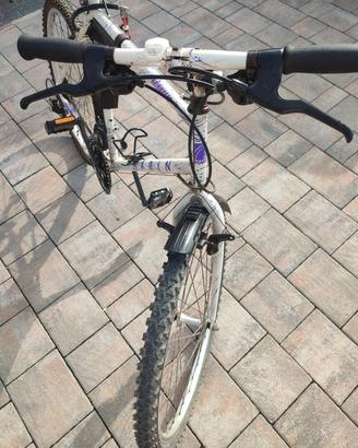 bici Mountain bike