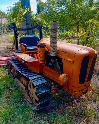 Fiat 352 C Montagna