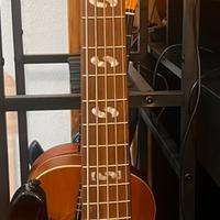 Harley Benton B-550 QTB progressive Series 5 corde