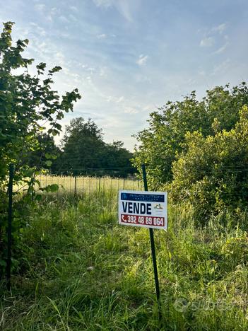 Terreno - Località Castagnetta