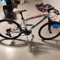 bicicletta mountain bike