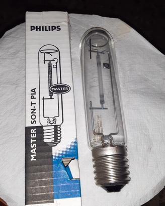 Philips master son-t pia