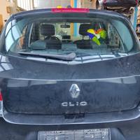 Portellone nudo RENAULT CLIO del 2011