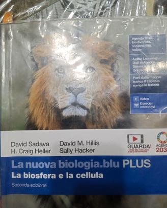 libri