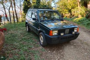 FIAT PANDA SISLEY