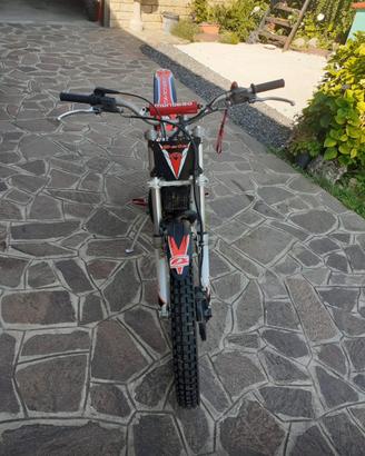 trial 80