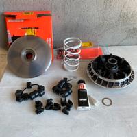Variatore MALOSSI Tmax