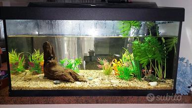 Acquario 80L + kit pulizia + vegetazione finta