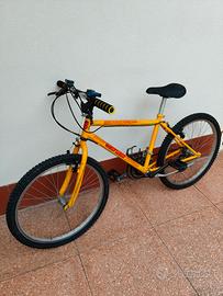 bici 24 ragazzo