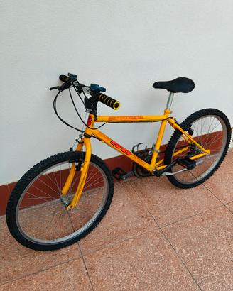 bici 24 ragazzo