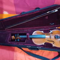 strumento musicale con sua custodia.