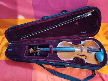 strumento musicale con sua custodia.