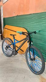 Bicicletta bulls