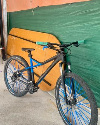 Bicicletta bulls