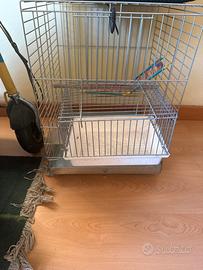 Gabbia per uccellini