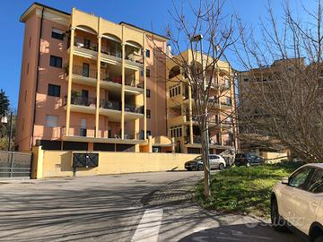 Camera singola a studente