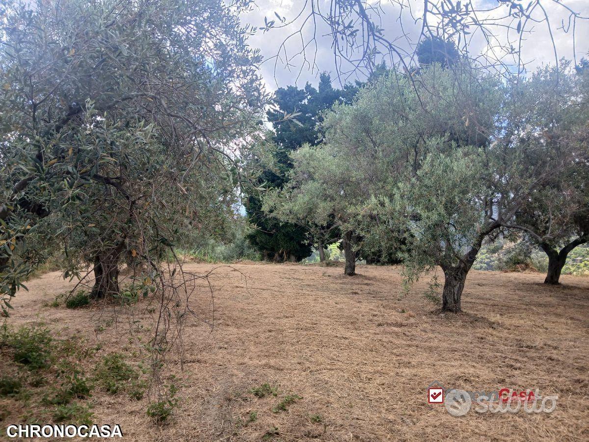 Gualtieri, terreno con casolare rurale - Vista 5