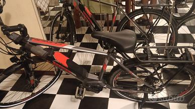 Bici assistita