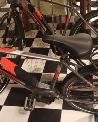 Bici assistita