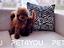 Immagine 21