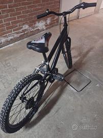 bicicletta ragazzo