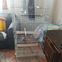 Gabbia batteria allevamento uccellini 