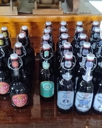 Bottiglie vuote tappo a leva per birrificazione