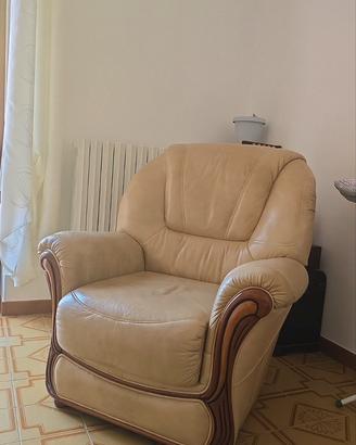 Divano e poltrona in pelle