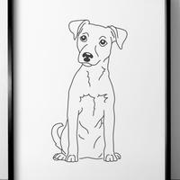 Jack Russell pelo liscio