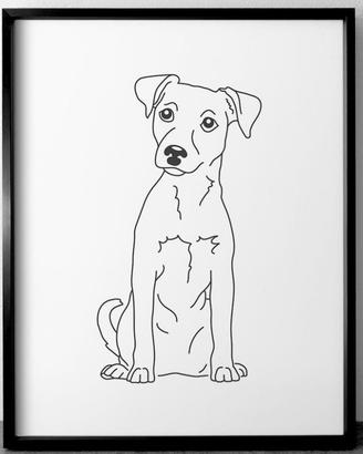 Jack Russell pelo liscio