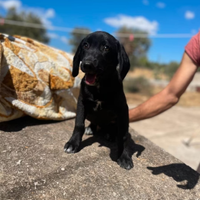 Gabriel salvato dalla strada