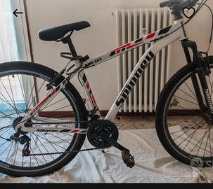 bicicletta MTB
