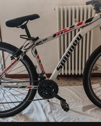 bicicletta MTB