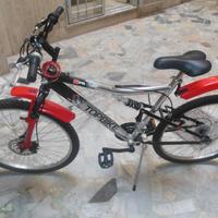 Bici da ragazzo