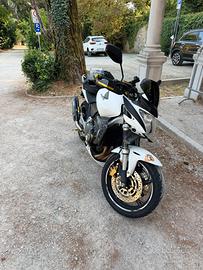 Hornet 600 2007