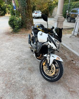 Hornet 600 2007