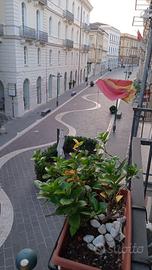 Ampio appartamento su C.so Garibaldi Benevento