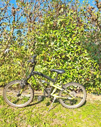 Bicicletta 20 pollici  bambino 
