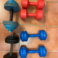 Pesi per palestra manubri