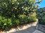 Immagine 25