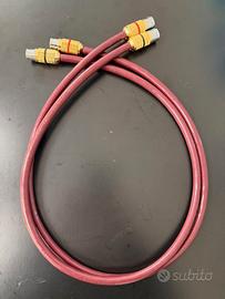 Cardas Golden Cross XLR Bilanciato  1 Metro