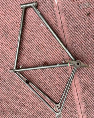 Bici Fixed/Single Gear